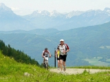 Berglauf-Radfahrer-Nr.214, Läufer-Nr.81-1