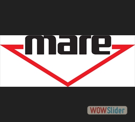 mare-logo 3